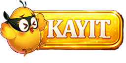 Kaydol